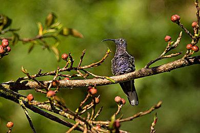 KK官方对战平台圣诞新图大赏，更有机会获得丰厚奖励!